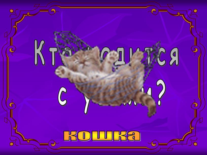 Кто родится с усами? кошка