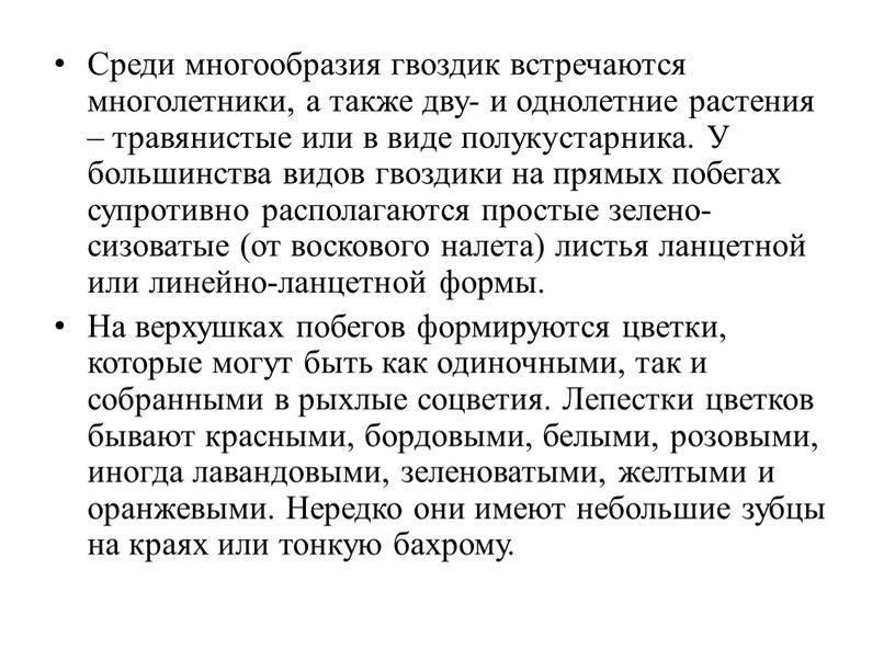 Среди многообразия гвоздик встречаются многолетники, а также дву- и однолетние растения – травянистые или в виде полукустарника