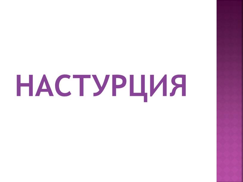 НАСТУРЦИЯ