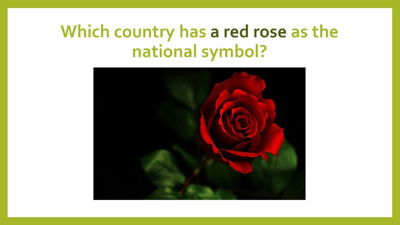 Which country has a red rose as the national symbol?