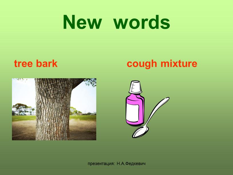 Н.А.Федкевич New words tree bark cough mixture