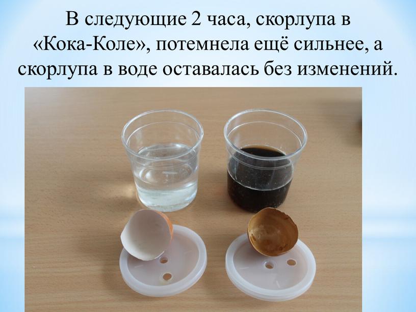 В следующие 2 часа, скорлупа в «Кока-Коле», потемнела ещё сильнее, а скорлупа в воде оставалась без изменений