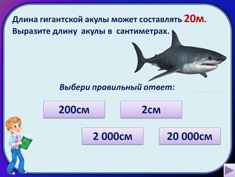 Длина гигантской акулы может составлять 20м