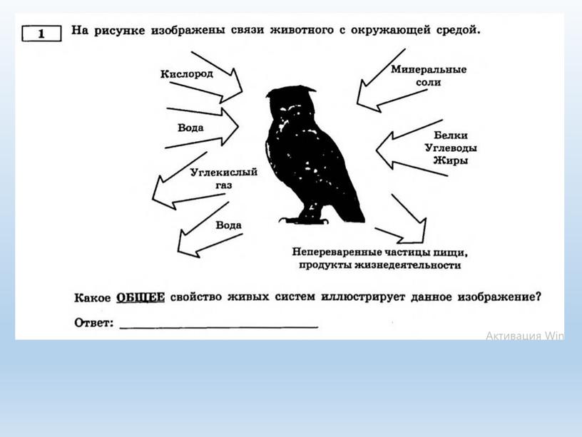 Разбор заданий №1 ОГЭ биология из сборника В.С.Рохлова