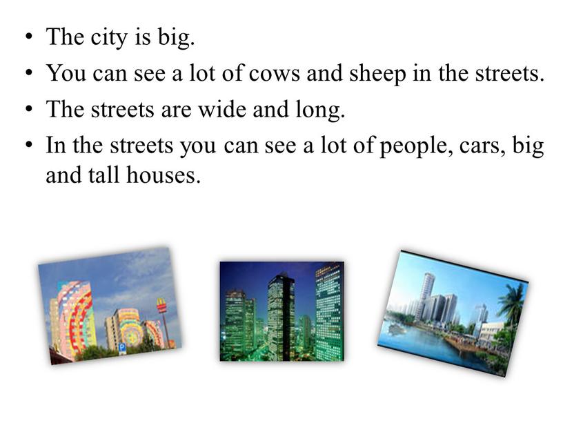 The city is big. You can see a lot of cows and sheep in the streets