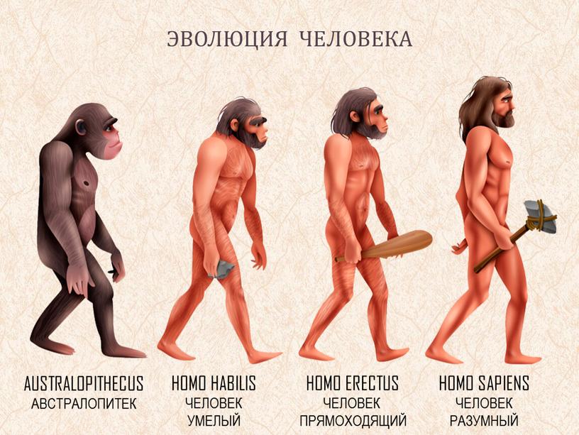 HOMO SAPIENS ЧЕЛОВЕК РАЗУМНЫЙ HOMO