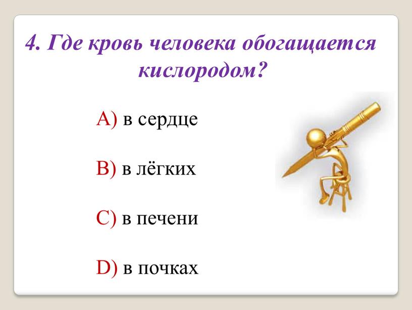 Где кровь человека обогащается кислородом?