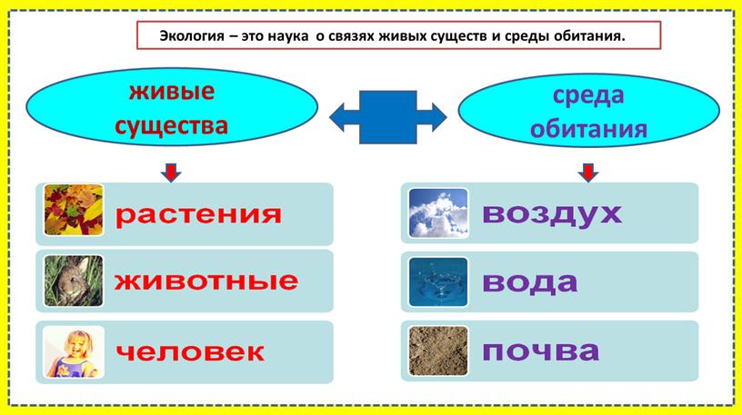 Экология – это наука о связях живых существ и среды обитания