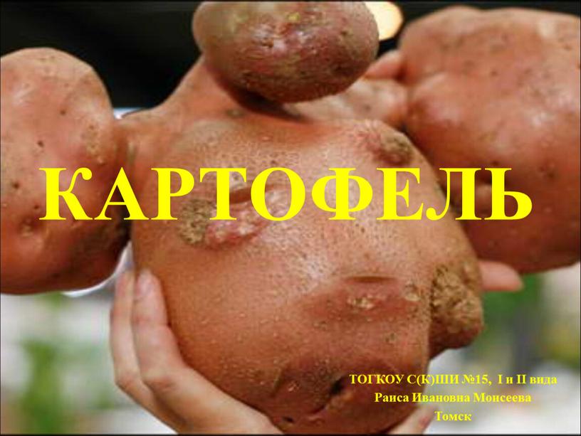 КАРТОФЕЛЬ ТОГКОУ С(К)ШИ №15, I и