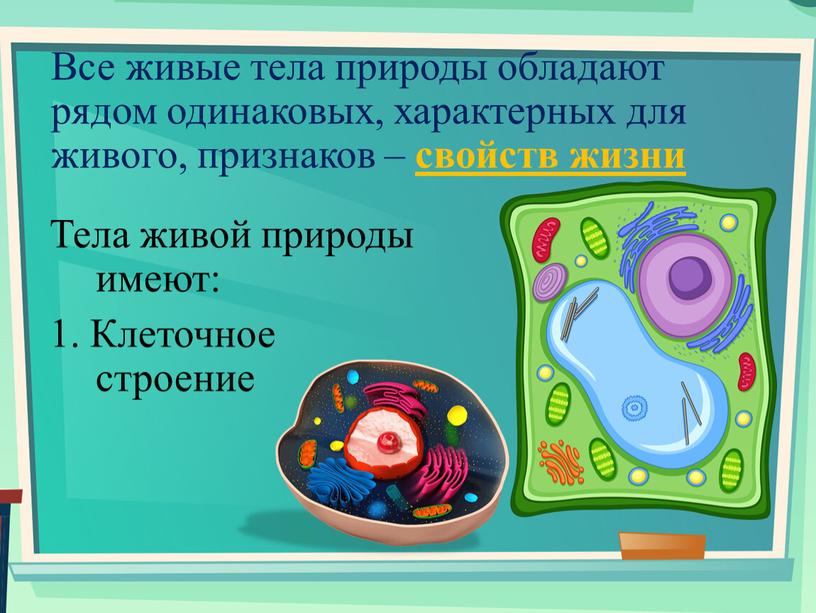 Все живые тела природы обладают рядом одинаковых, характерных для живого, признаков – свойств жизни