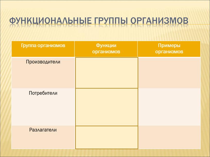 Функциональные группы организмов