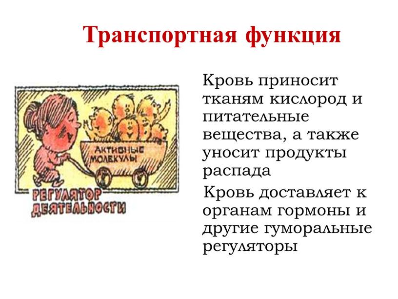 Кровь приносит тканям кислород и питательные вещества, а также уносит продукты распада