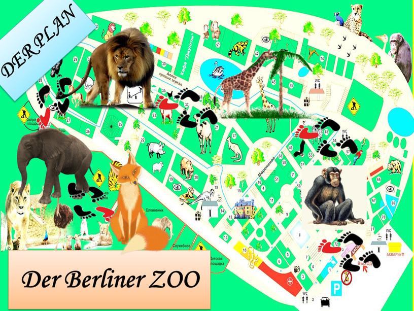 DER PLAN Der Berliner ZOO