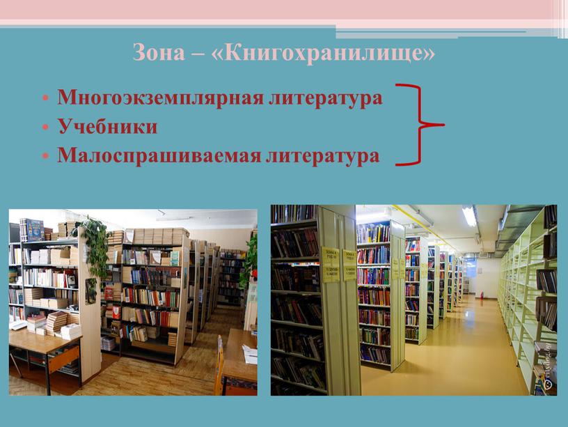 Зона – «Книгохранилище» Многоэкземплярная литература