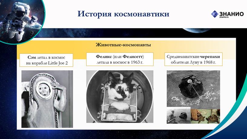 История космонавтики Животные-космонавты