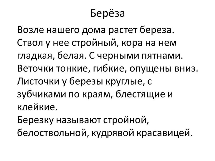 Берёза Возле нашего дома растет береза