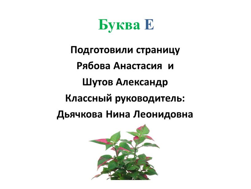 Буква Е Подготовили страницу Рябова