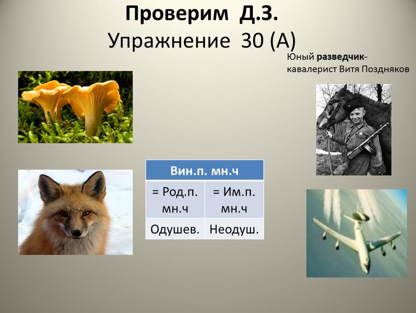 Проверим Д.З. Упражнение 30 (А)