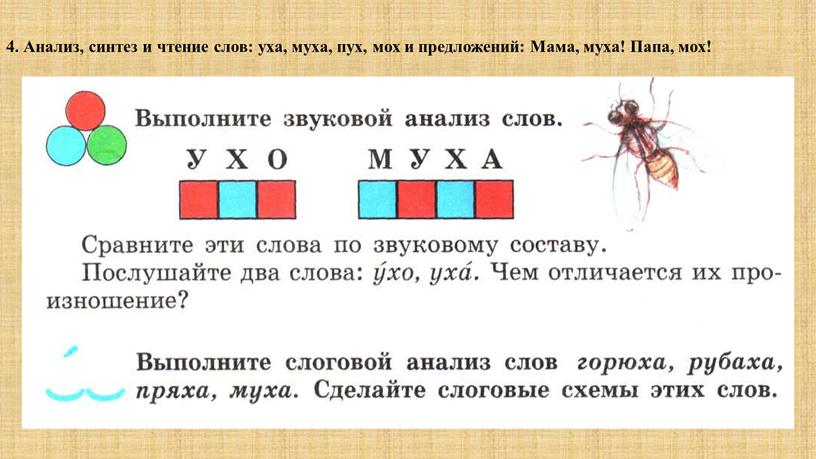 Анализ, синтез и чтение слов: уха, муха, пух, мох и предложений: