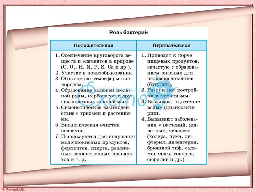 Презентация  к уроку "Бактерии"