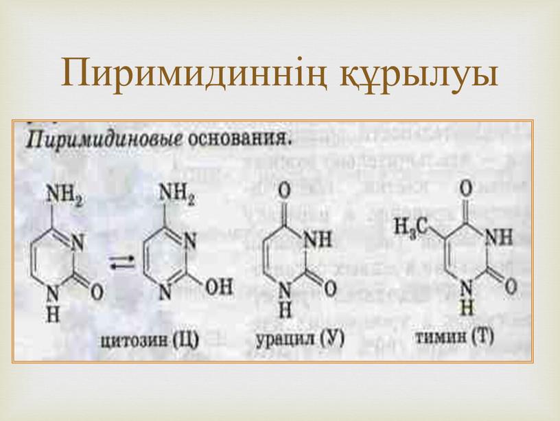 Пиримидиннің құрылуы