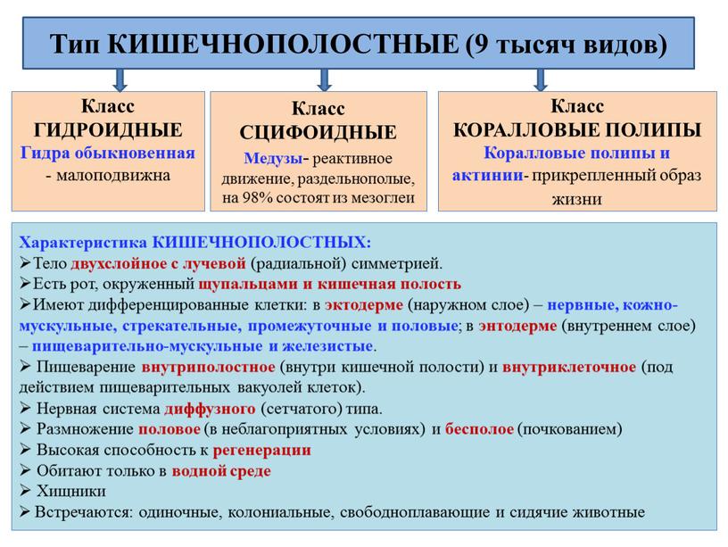 Класс ГИДРОИДНЫЕ Гидра обыкновенная - малоподвижна