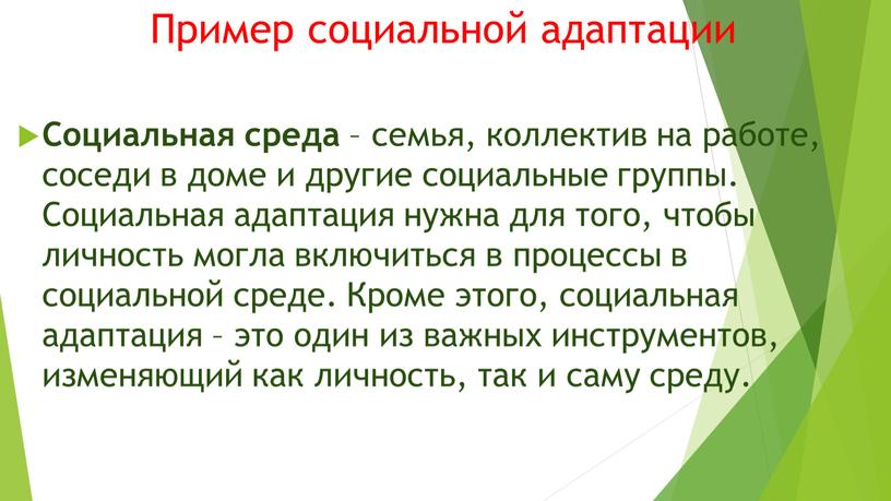 Пример социальной адаптации Социальная среда – семья, коллектив на работе, соседи в доме и другие социальные группы