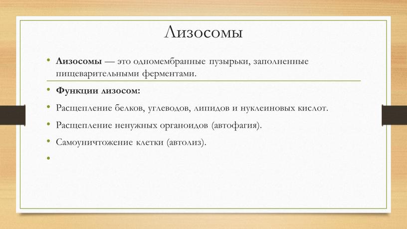 Лизосомы Лизосомы — это одномембранные пузырьки, заполненные пищеварительными ферментами