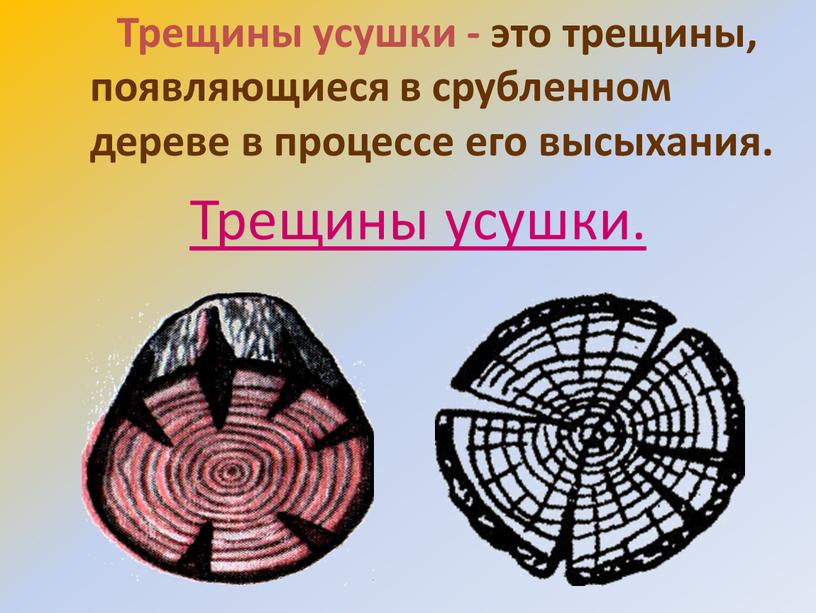 Трещины усушки - это трещины, появляющиеся в срубленном дереве в процессе его высыхания