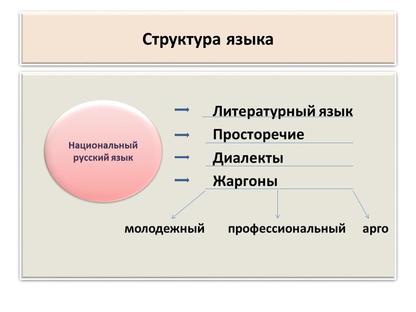 Структура языка Литературный язык