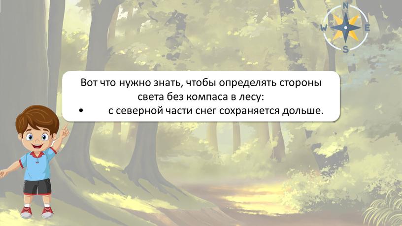 Ориентирование на местности Вот что нужно знать, чтобы определять стороны света без компаса в лесу: • с северной части снег сохраняется дольше