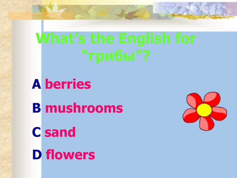 What’s the English for “грибы”?