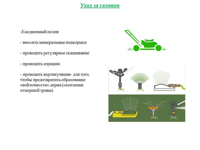 Уход за газоном Ежедневный полив вносить минеральные подкормки проводить регулярное скашивание проводить аэрацию проводить вертикуляцию для того, чтобы предотвратить образование «войлочности» дерна (скопление отмершей травы)