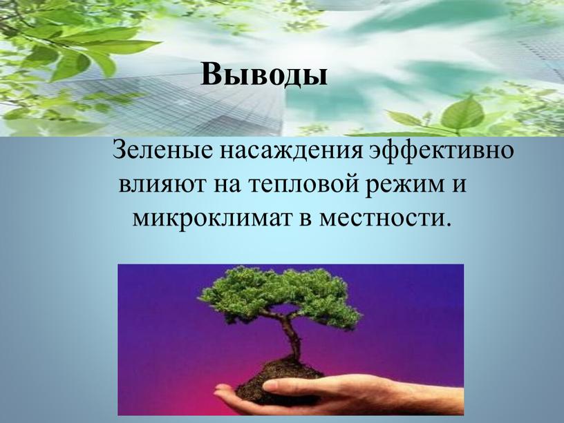 Зеленые насаждения эффективно влияют на тепловой режим и микроклимат в местности