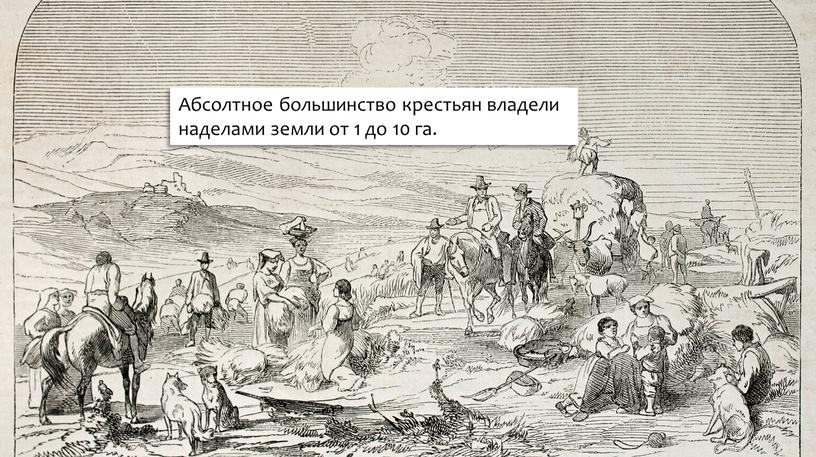 Абсолтное большинство крестьян владели наделами земли от 1 до 10 га