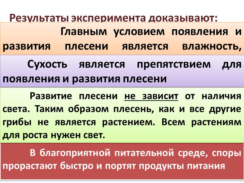 В благоприятной питательной среде, споры прорастают быстро и портят продукты питания