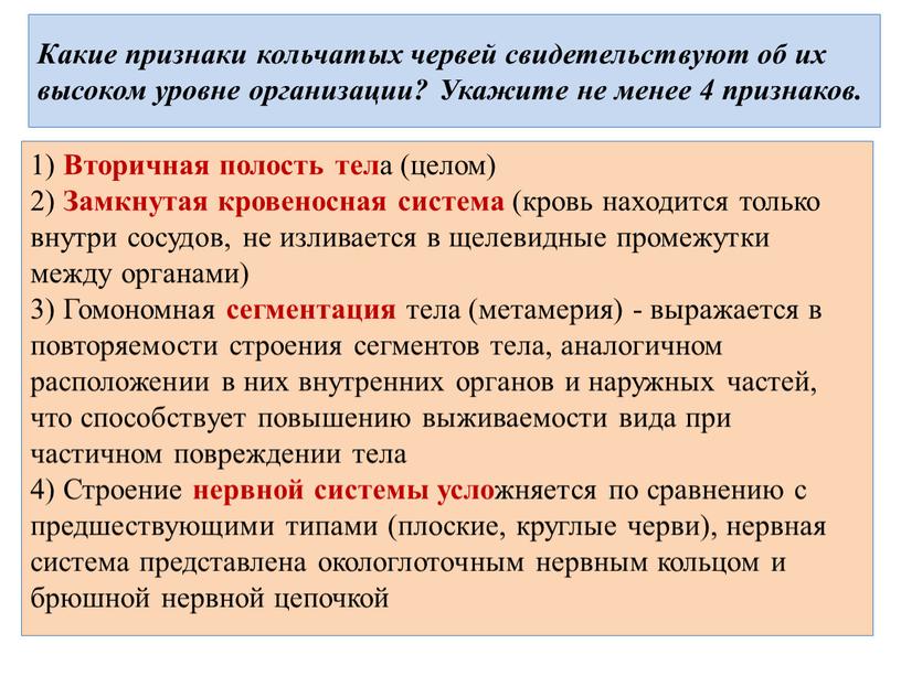 Какие признаки кольчатых червей свидетельствуют об их высоком уровне организации?