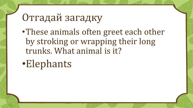 Отгадай загадку These animals often greet each other by stroking or wrapping their long trunks