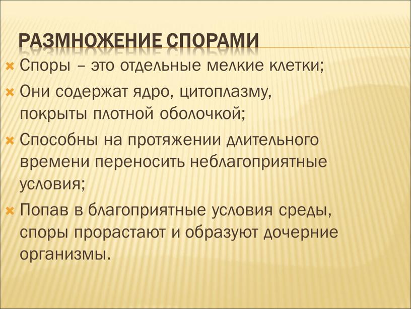 Размножение спорами Споры – это отдельные мелкие клетки;