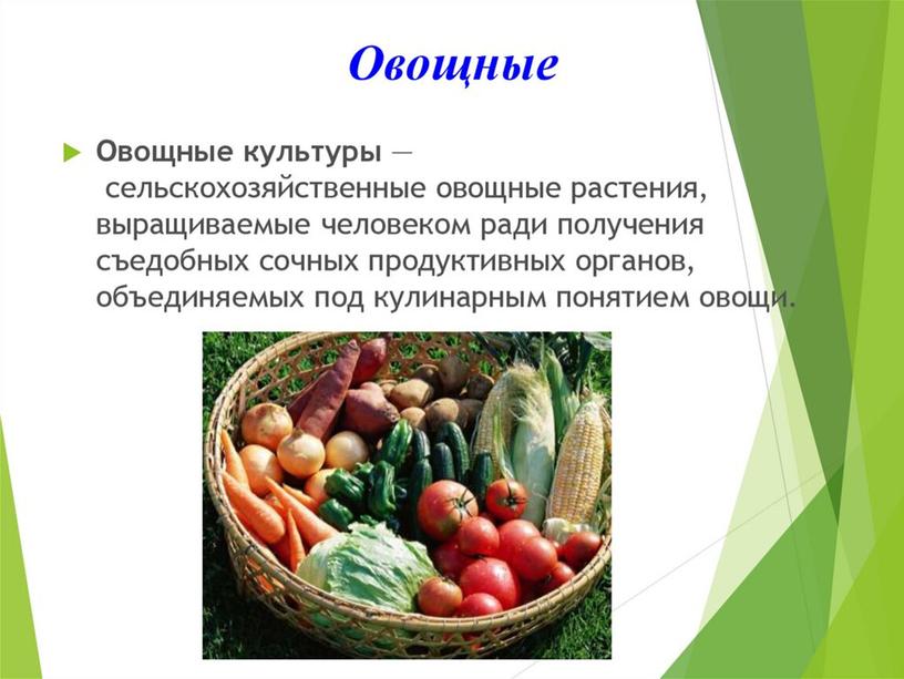 Презентация "Общая характеристика  и классификация культурных растений"