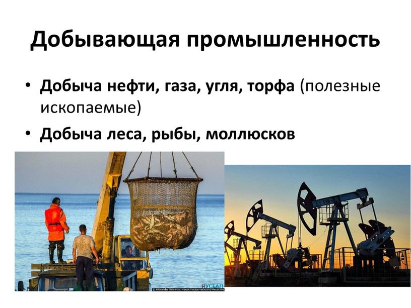 Добывающая промышленность Добыча нефти, газа, угля, торфа (полезные ископаемые)