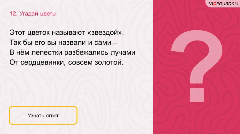 Угадай цветы Узнать ответ Этот цветок называют «звездой»