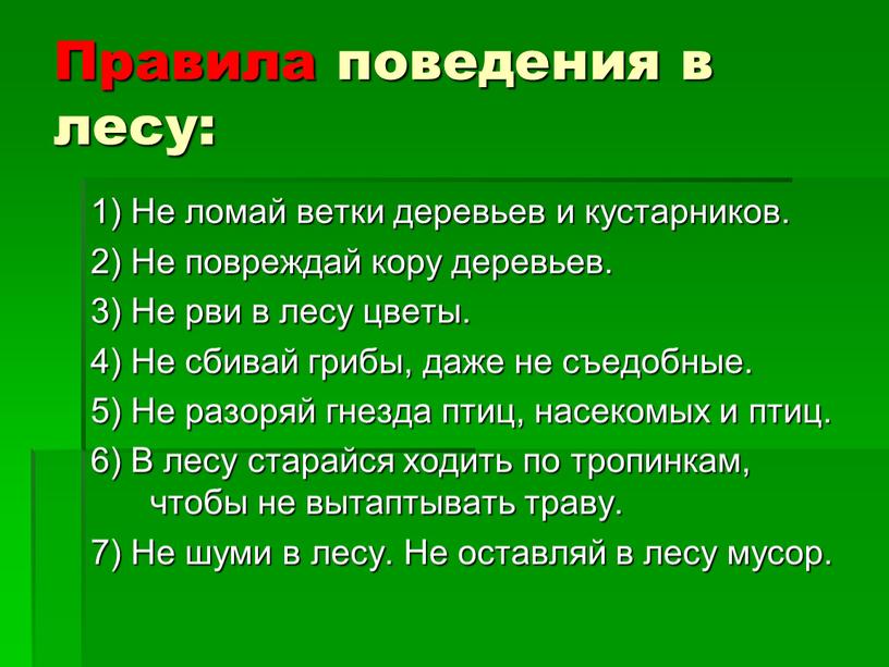 Правила поведения в лесу: 1) Не ломай ветки деревьев и кустарников