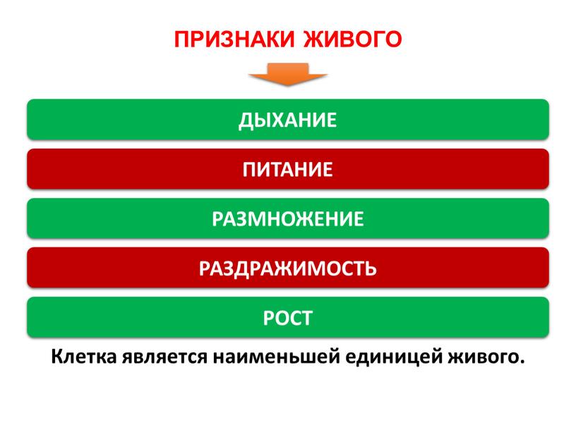 Клетка является наименьшей единицей живого