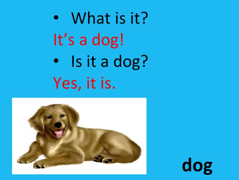 What is it? It’s a dog! Is it a dog?