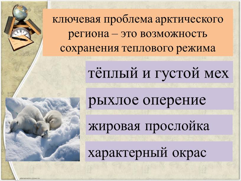 ключевая проблема арктического региона – это возможность сохранения теплового режима тёплый и густой мех рыхлое оперение жировая прослойка характерный окрас