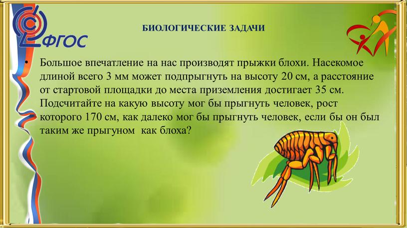 БИОЛОГИЧЕСКИЕ ЗАДАЧИ Большое впечатление на нас производят прыжки блохи