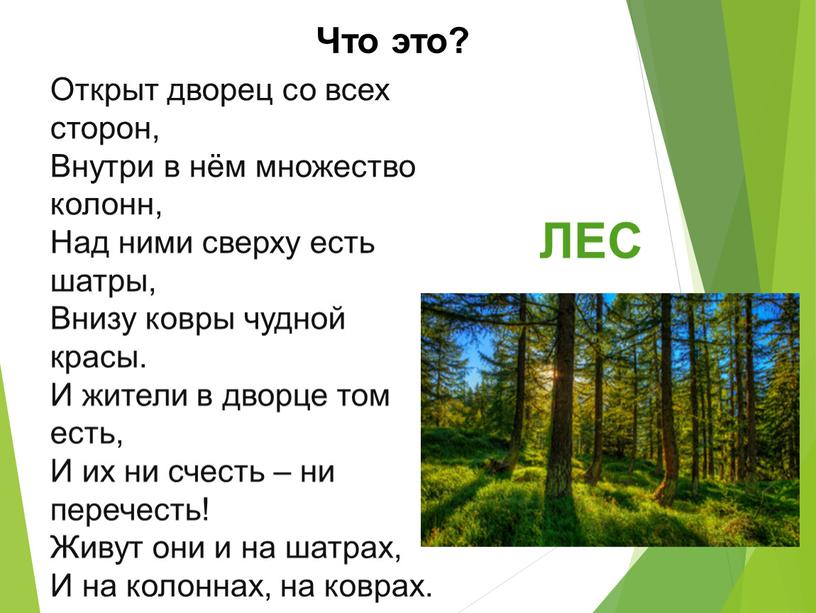 Открыт дворец со всех сторон, Внутри в нём множество колонн,