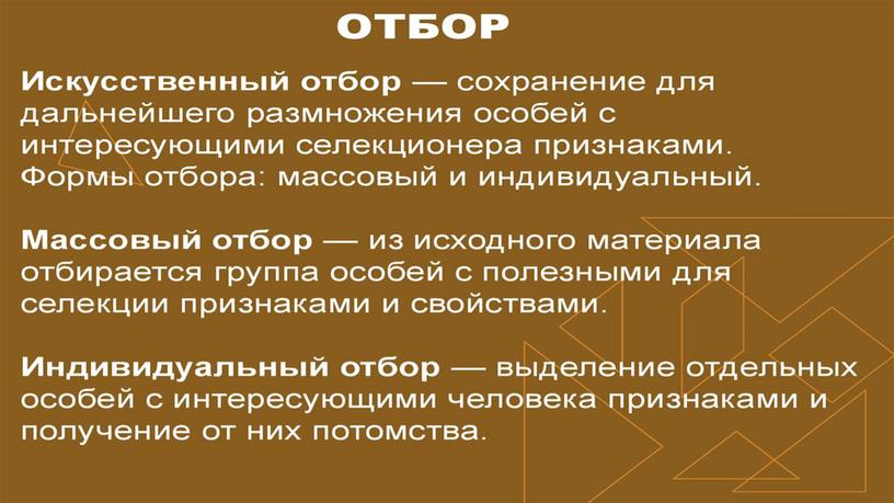 Презентация по биологии "Основные моменты селекции"