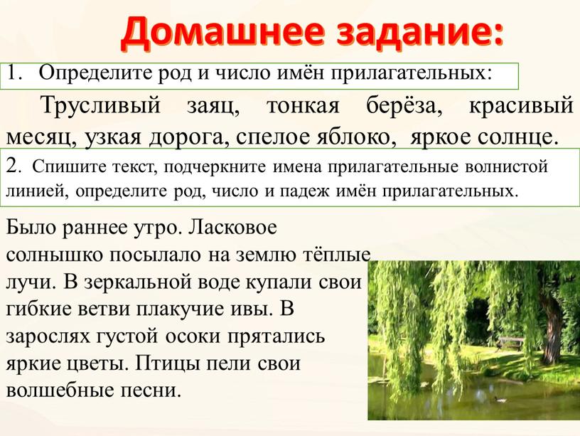 Домашнее задание: Трусливый заяц, тонкая берёза, красивый месяц, узкая дорога, спелое яблоко, яркое солнце